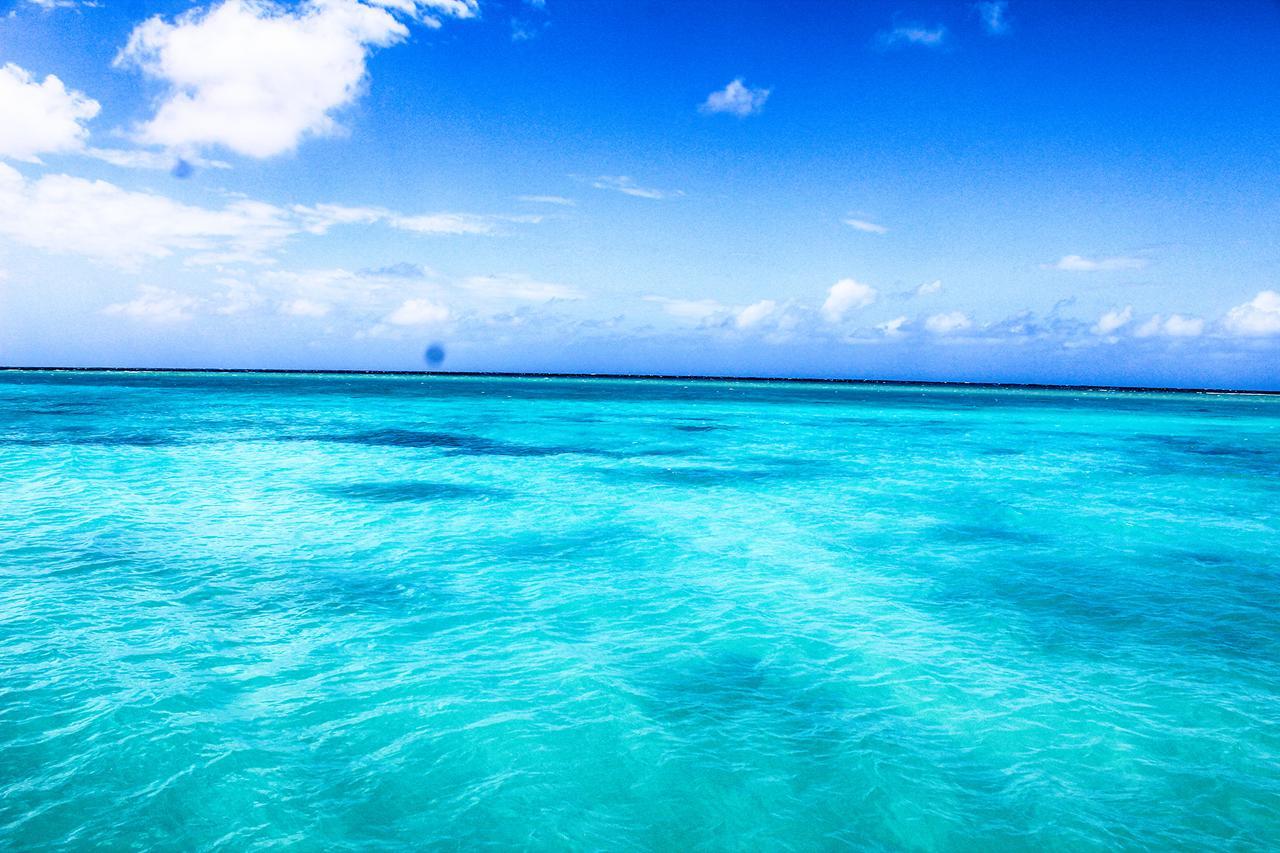 Seagarden Beach Resort Montego Bay Esterno foto